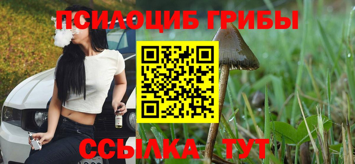 Нягань  Псилоцибиновые грибы MAGIC MUSHROOMS  Вход с VPN 
