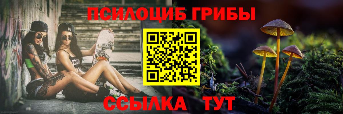 Галлюциногенные грибы Cubensis Нягань